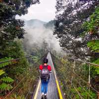 Bandung is a must visit if you love nature 