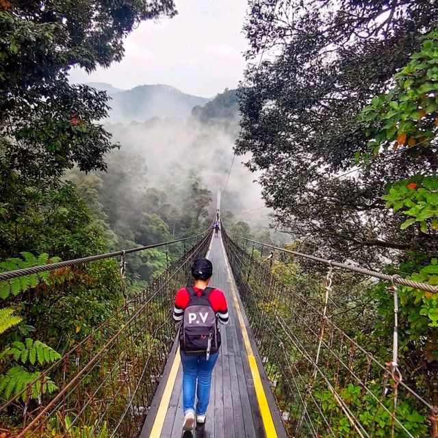 Bandung is a must visit if you love nature 