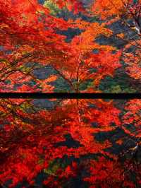 【紅葉特集】紅葉の嵐山リフレクションスポットと嵐山エリア攻略情報を紹介✨