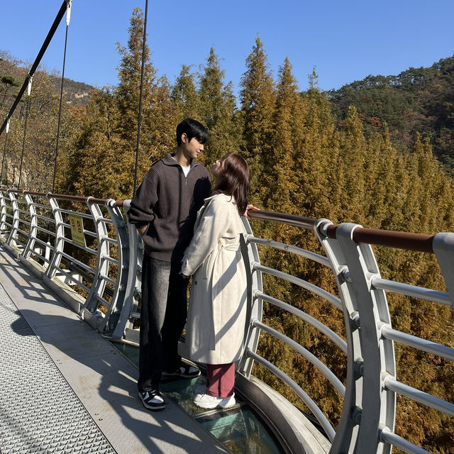 가을에 가장 예쁜 역대급 뷰 데이트 코스