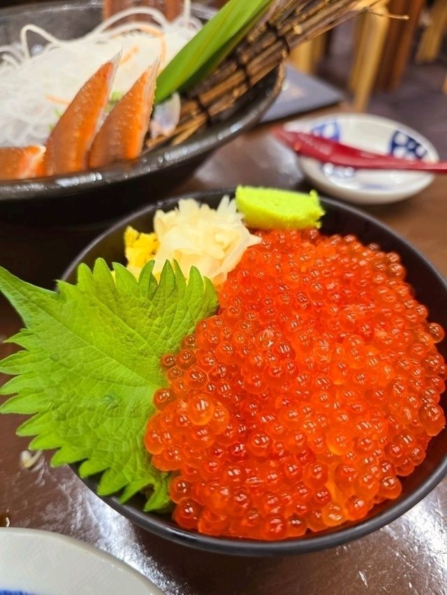 日本海最大漁市場吃越前蟹🦀