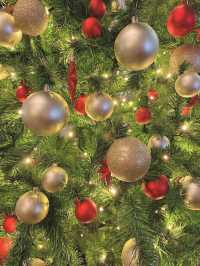 【六本木🇯🇵】東京ミッドタウンイルミネーション🎄