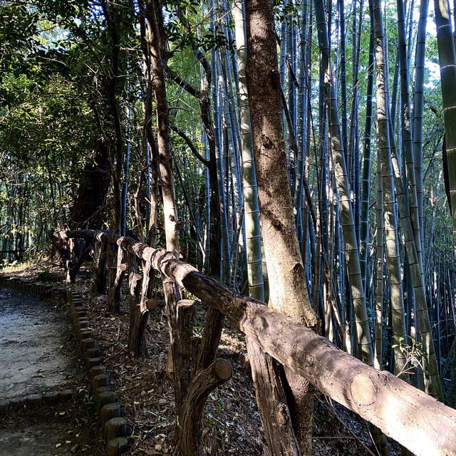 知多半島の城巡り　常滑市　大野城