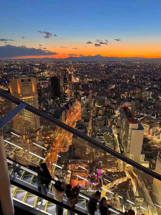 Shibuya Sky: A Stunning View of Tokyo from Above