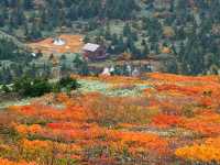 【岩手県】陸奥の紅葉絨毯の山！三ツ石山