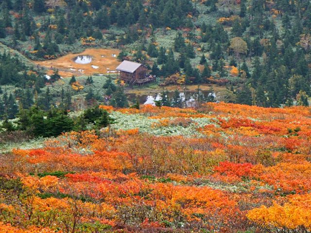 【岩手県】陸奥の紅葉絨毯の山！三ツ石山
