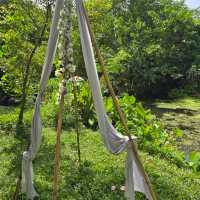 Cozy Cafe Camp คาเฟ่ลับ ลพบุรี 