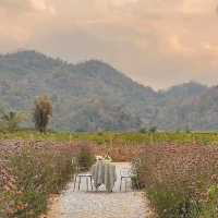 คาเฟ่เปิดใหม่ย่านเขาใหญ่ 2024