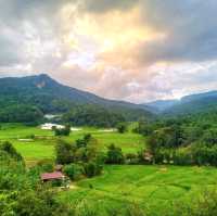 ชมนาขั้นบันไดกลางขุนเขา @บ้านแม่กลางหลวง