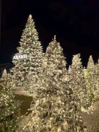 요즘 부산여행 필수 크리스마스 트리빌리지🎄