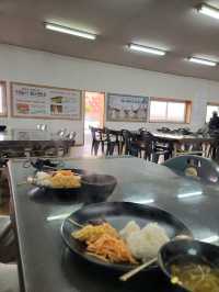 겨울 빙벽도 볼수 있는 영천 만불사🪷