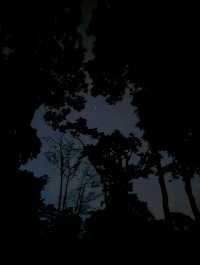 เช้าฤดูหนาวที่ดอยขุนตาล | จ.ลำพูน ⛰️🌿💫🏕️