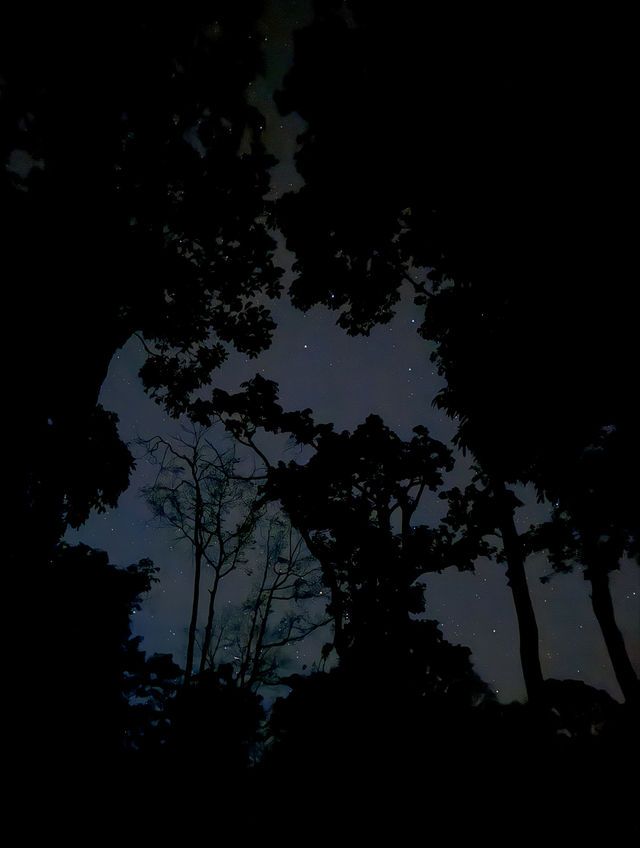 เช้าฤดูหนาวที่ดอยขุนตาล | จ.ลำพูน ⛰️🌿💫🏕️