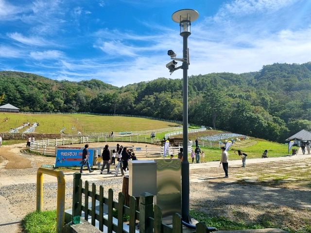 하늘과 맞닿아 있는 풍차마을☁️🏞