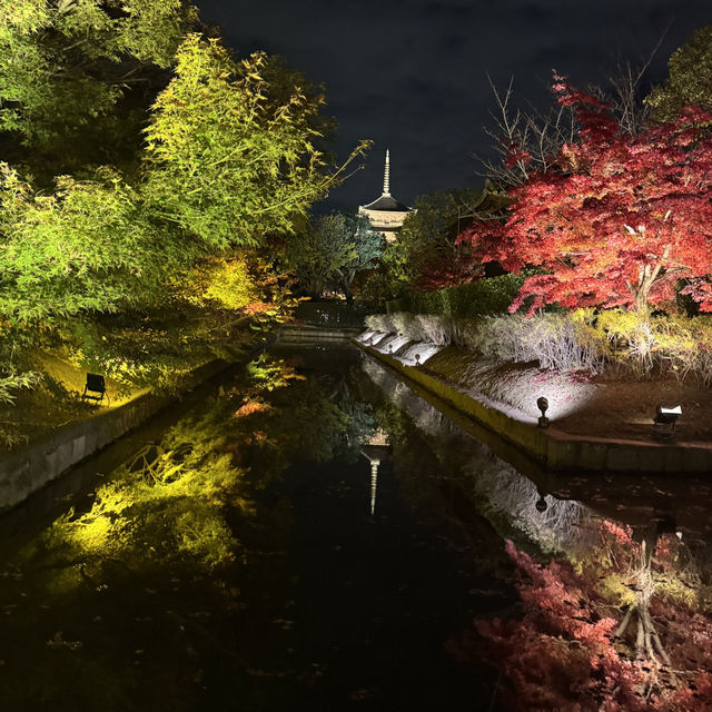 怎能抗拒「東寺夜楓」的倒影😍