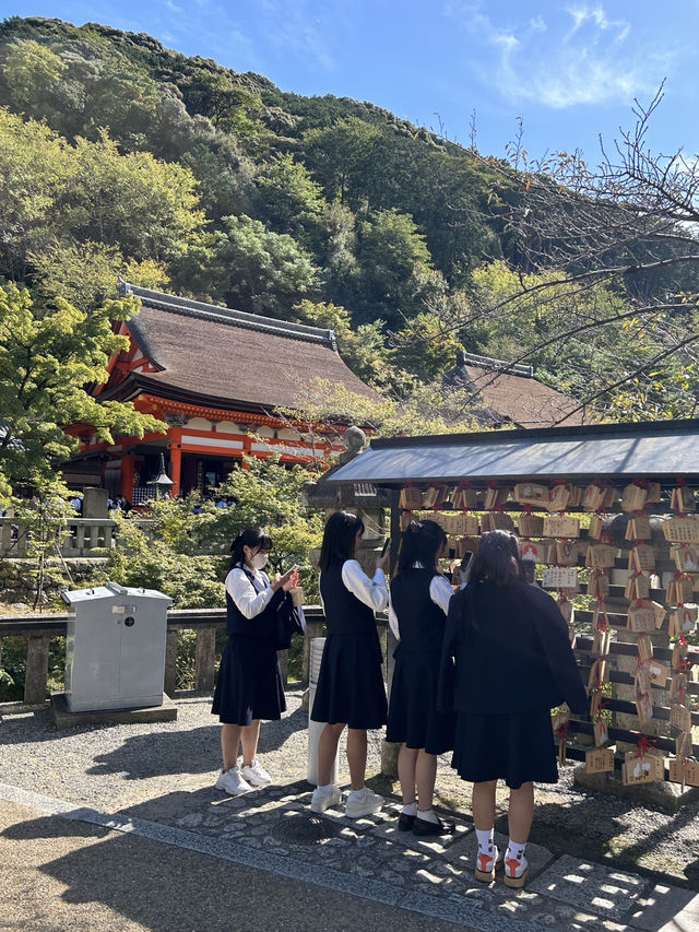 พาตะลอนวัดน้ำใส✨ Kiyomizu-dera