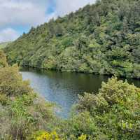 Zealandia Te Māra a Tāne: A Conservation Triumph