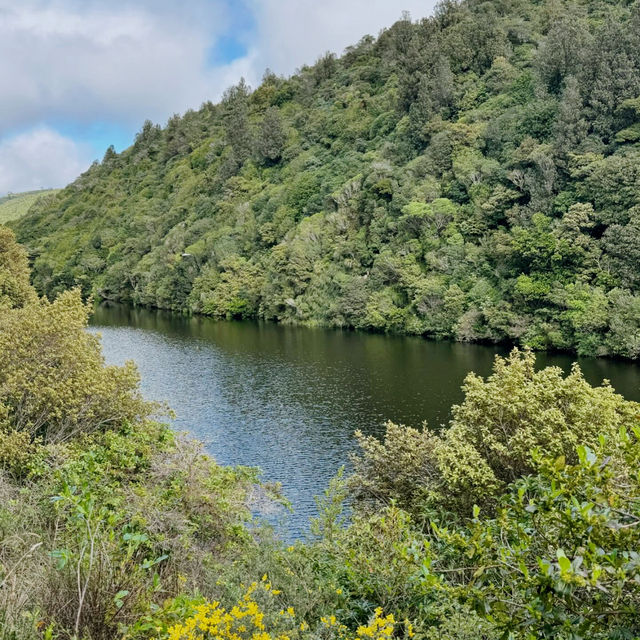 Zealandia Te Māra a Tāne: A Conservation Triumph