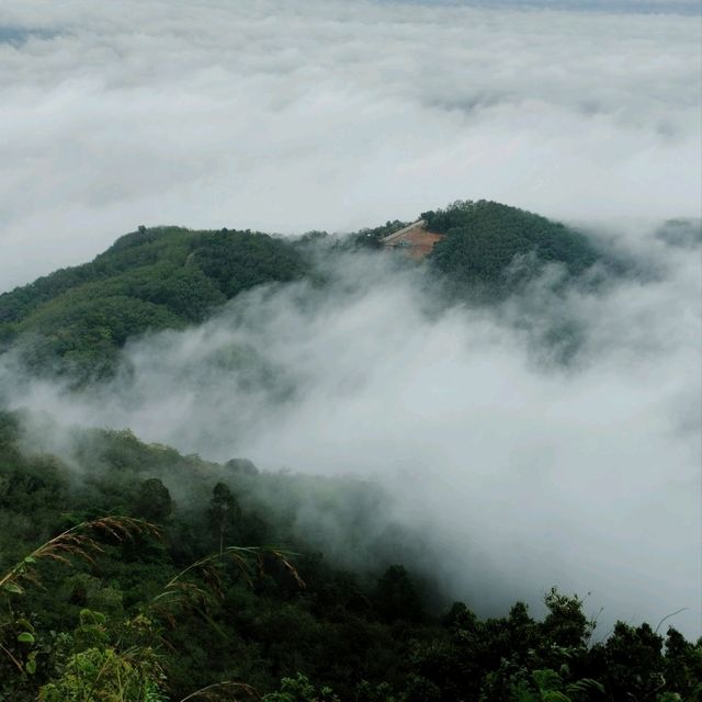 เขาศูนย์ ฉวาง จ.นครศรีธรรมราช 