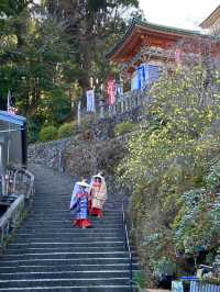 【和歌山旅行】那智勝浦／那智山青岸渡寺で自然を満喫