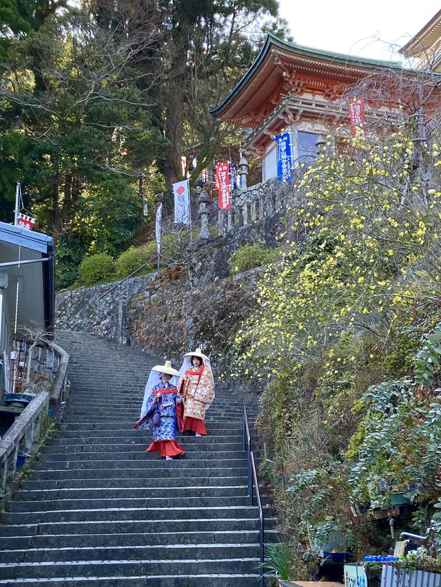 【和歌山旅行】那智勝浦／那智山青岸渡寺で自然を満喫