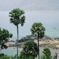 หาดป่าตอง, สุรินทร์, ในหาน ภูเก็ต