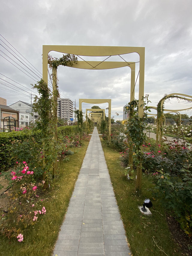 【福山】ばら公園