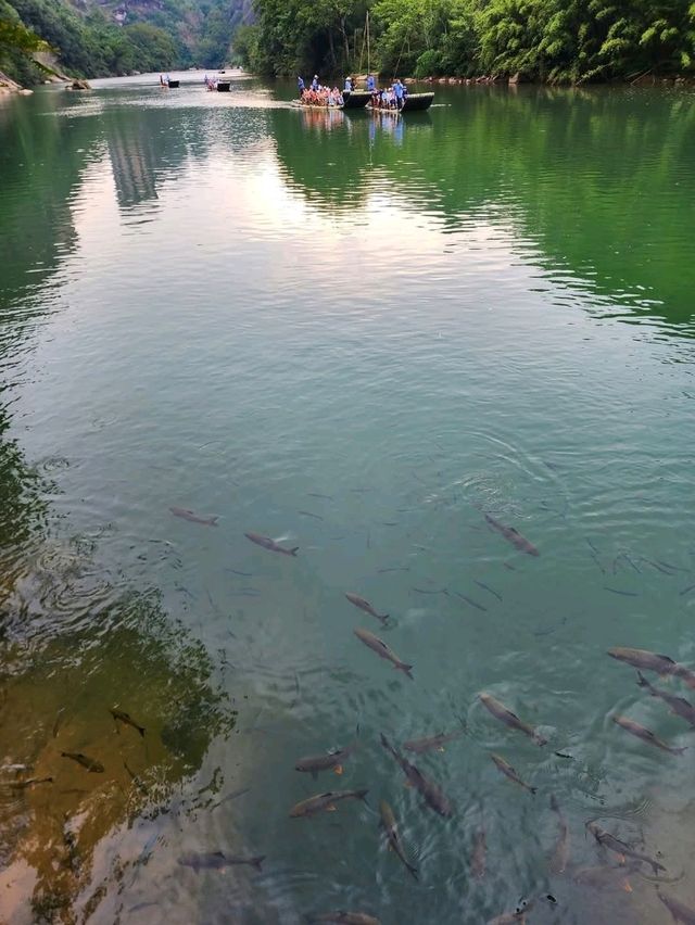 茶故鄉地的溫感與美態