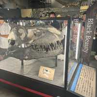 【福井旅行】恐竜博物館🦕
