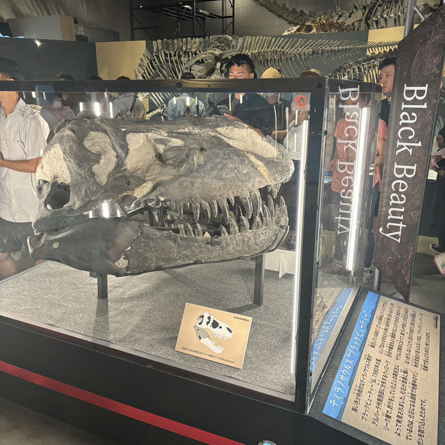 【福井旅行】恐竜博物館🦕
