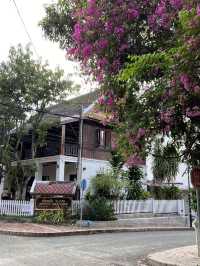 Laid-back Life in Luang Prabang