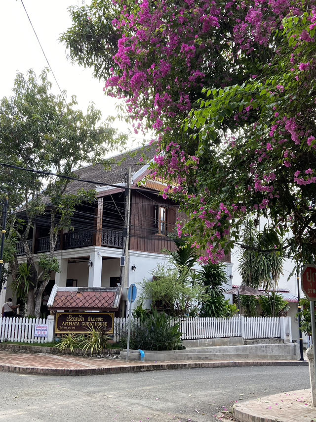 Laid-back Life in Luang Prabang Laid-back Life in Luang Prabang