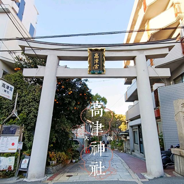 【大阪】大阪を見守り続ける高津神社