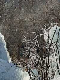 대전에 있는 겨울왕국❄️