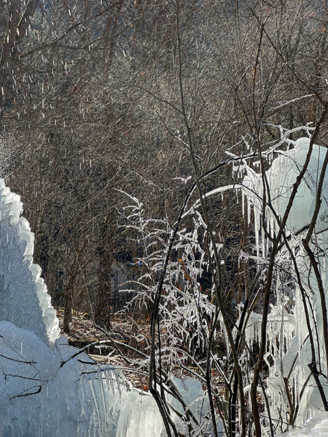 대전에 있는 겨울왕국❄️