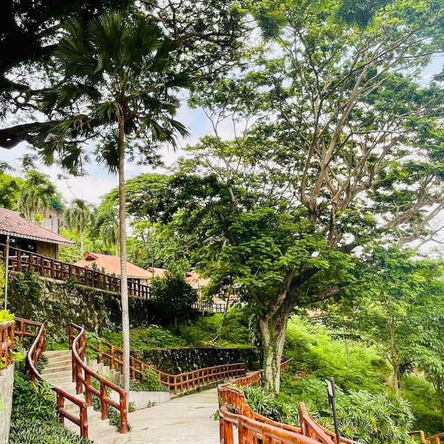 One of the most pricesless vaca.