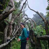 บานาฮิลล์ เมืองเเห่งสายหมอก 