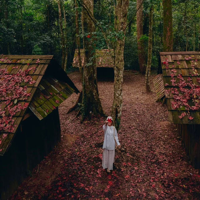 ฤดูกาลเมเปิ้ลแดง 1 ปีมี 1 ครั้ง 🍁