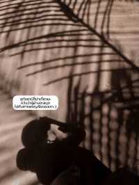 ตะลุยป่าดึกดำบรรพ์ อันซีนไทยแลนด์ จ.อุทัยธานี
