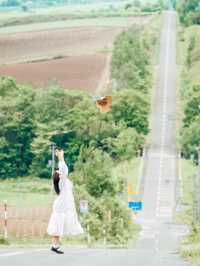 【北海道】美瑛のフォトスポット