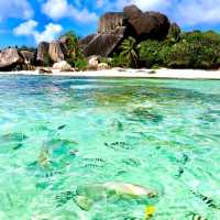 Mahe Island, Seychelles: A Tropical Paradise!