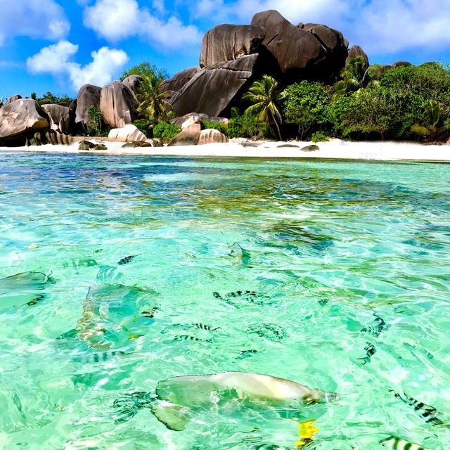 Mahe Island, Seychelles: A Tropical Paradise!