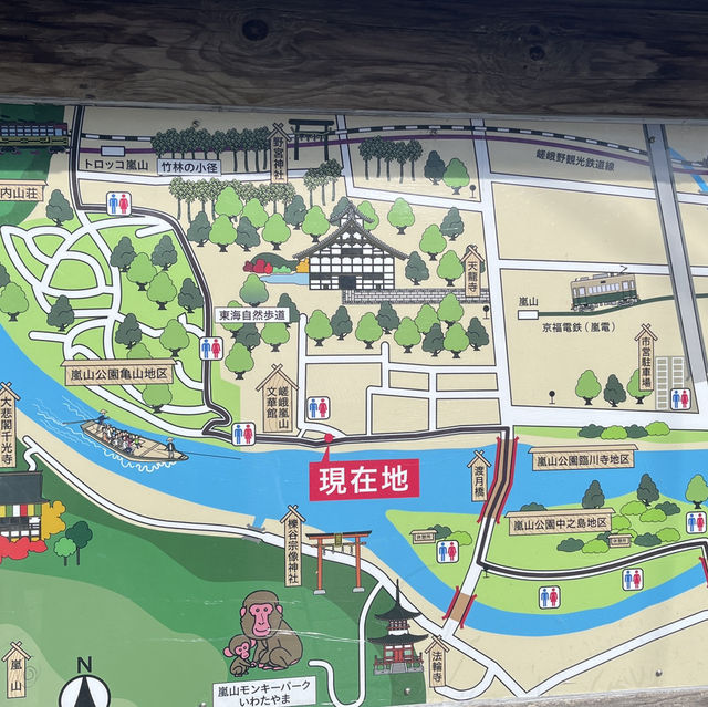🌄✨ 探索京都的自然奇觀——嵐山渡月橋！