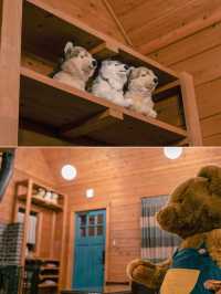 【軽井沢】愛犬と泊まれる！一棟貸しコテージ