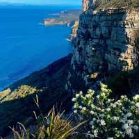 Cape Raoul - Tasmania's Tasman Peninsula 