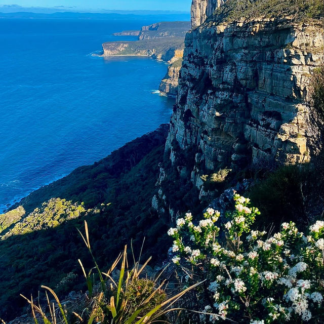 Cape Raoul - Tasmania's Tasman Peninsula 