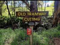 Tasmanian Arboretum