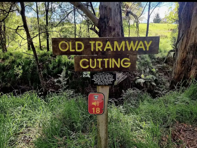 Tasmanian Arboretum