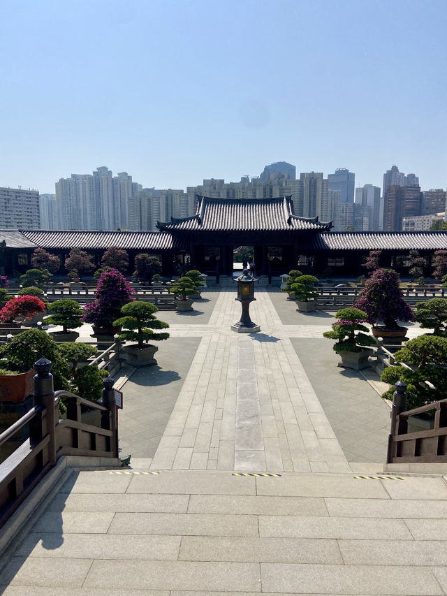 🌺🌼如世外桃源般的「志蓮淨苑」🪷🤩