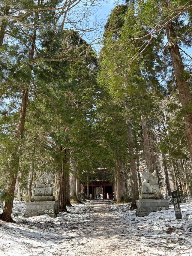 【戸隠】雪景色と名物蕎麦の贅沢旅❄️